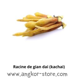 RACINE DE GIAN DAI (KACHAI)...