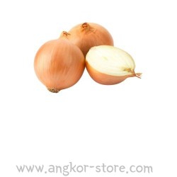 OIGNON JAUNE - 25Kg