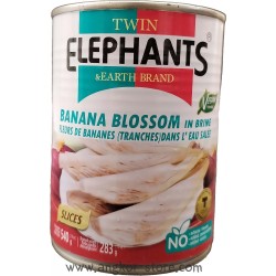 FLEUR DE BANANE NATURE -...