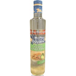 PUNCH GINGEMBRE 18° - 0.5L
