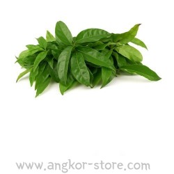 FEUILLE DE YANANG ( A LA...