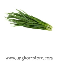 TIGE DE CIBOULETTE ( A LA...
