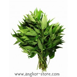FEUILLE DE RAO RAM - 0.1Kg