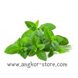 MENTHE 