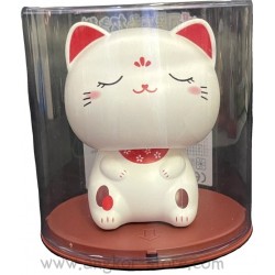 CHAT DECORATION SOLAIRE...