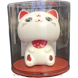 CHAT DECORATION SOLAIRE...