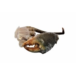 CRABE COUPE MOYEN **** - 1Kg