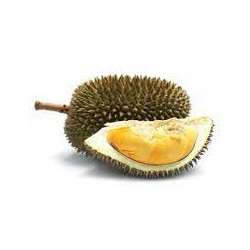 DURIAN (A LA PESEE) - 1Kg