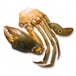 CRABE COUPE MOYEN **** - 1Kg