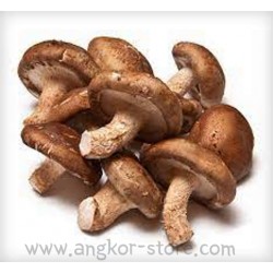 CHAMPIGNON SCHITAKEE (A LA...