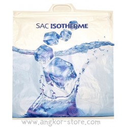 SAC ISOTHERME 48 X 48 CM 25...