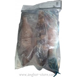 POISSON PERROQUET 300/500...