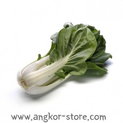 BREDE DE CHOUX BLANCS SIAO...