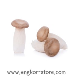 CHAMPIGNON ERENGII (A LA...
