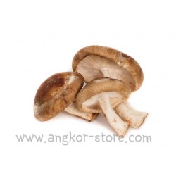 CHAMPIGNON SCHITAKEE (A LA...