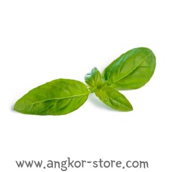 FEUILLE DE BASILIC - 0.1Kg