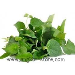FEUILLE DE DIEP CA - 0.1Kg