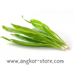 FEUILLE DE NGO GAI - 0.1Kg