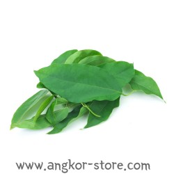 FEUILLE DE YANANG (A LA...