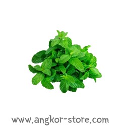 MENTHE 