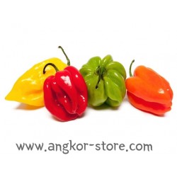PIMENT ANTILLAIS (A LA...